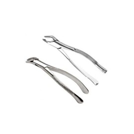 Forcep Adulto