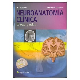 Neuroanatomía Clínica